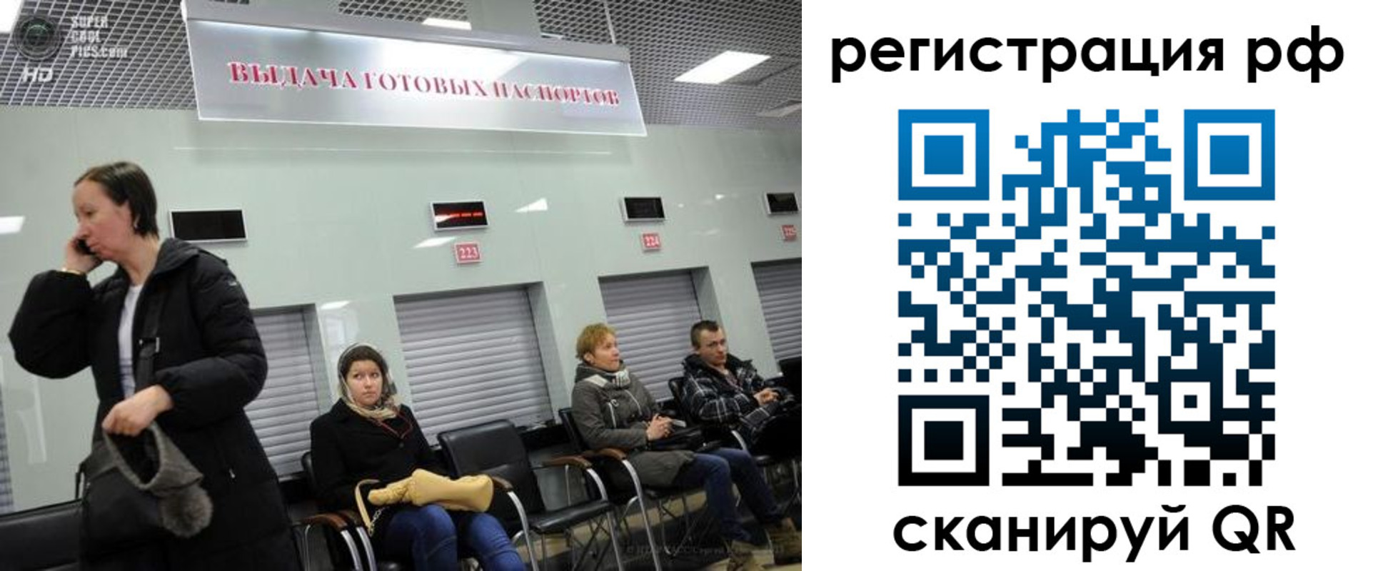 прописка для школы в Коврове